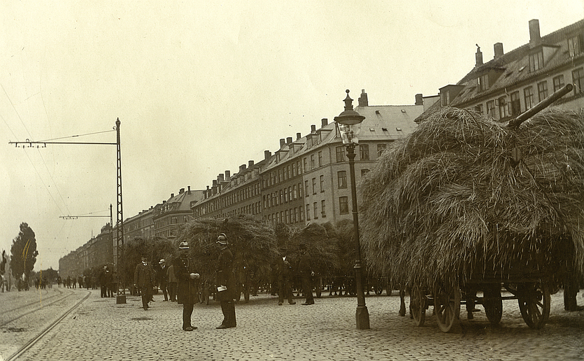 Halmtorvet. Foto af Orla Michael Bock. 1905 (Københavns Museum)