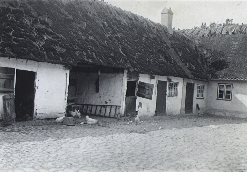 Skovbogård.  Foto af J. V. Duurloo 1912 (Det Kgl. Bibliotek)